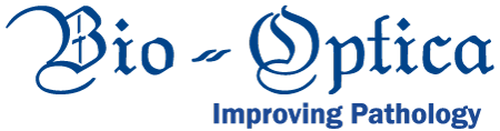 Partner 8 Logo